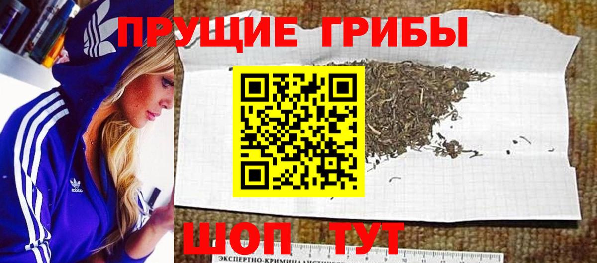 Псилоцибиновые грибы Magic Shrooms  Псилоцибиновые грибы Psilocybe  Дедовск  Вход с VPN 